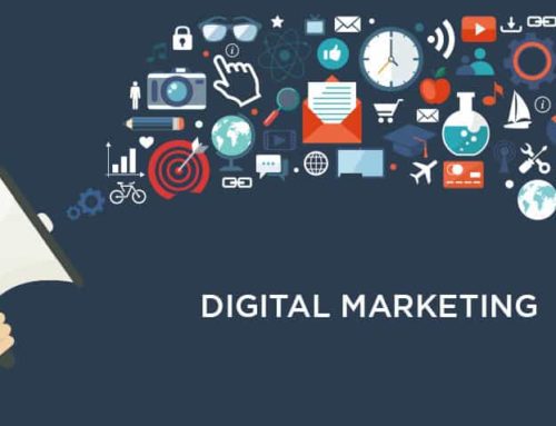 Digital Marketing- Tampa | Grow Your Business with Digital Marketing