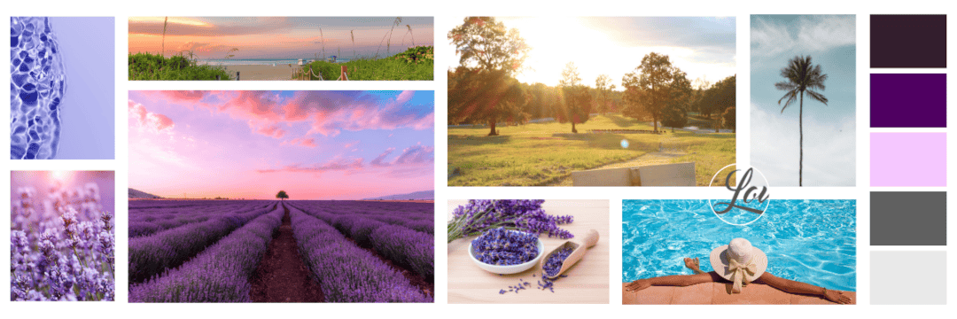 baycoast_portfolio_client_Lovelace_moodboard_image baycoast_portfolio_client_Lovelace_moodboard_image