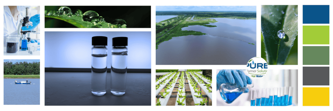 baycoast_portfolio_client_Pure_Polymer_moodboard_image