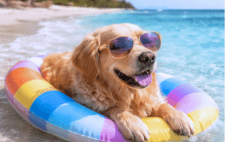 baycoast_media_website_blog_grateful_for_you_new